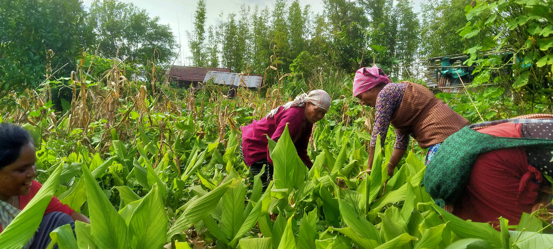 The Heart of Organic Farming: A Labor of Love